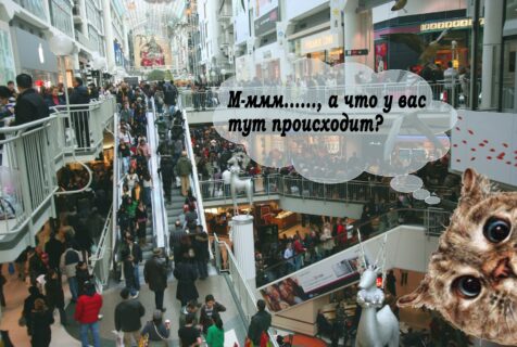 Проведение мероприятия в ТЦ. Как правильно использовать для поднятия трафика.