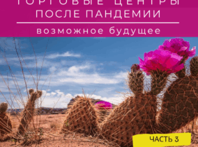 Торговые центры после пандемии- часть 3