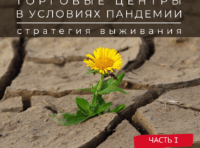 Торговые центры в условиях пандемии- стратегия выживания. Часть I